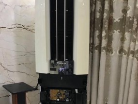 大金空调显示L1故障原因分析与解决方法（大金空调显示L1的可能原因及解决办法）