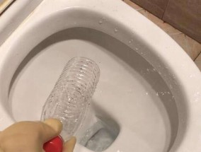 马桶堵了怎么办（一起学习如何处理堵塞的马桶问题）