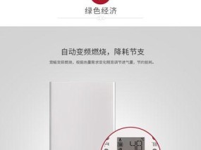 动力壁挂炉的保养方法（延长使用寿命）