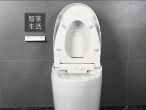 解决法恩莎马桶没电的冲水问题（没有电源也能顺利冲水）