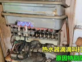 前锋热水器打不着火的原因及解决方法（分析前锋热水器无法点火的原因）