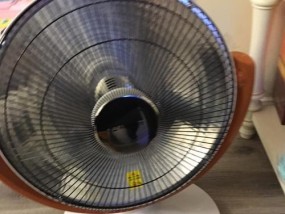 家用电暖器清理方法是什么？使用时应注意哪些技巧？