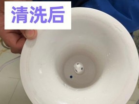 如何有效清除饮水机内的水垢（简单易行的方法帮你解决饮水机水垢问题）