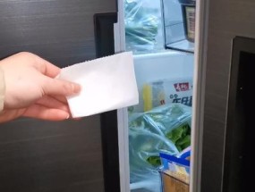 卫生纸能去除冰箱的异味吗（揭秘卫生纸神奇的除味功效）