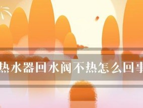 壁挂炉回水管不热了怎么办（故障排除与维修指南）