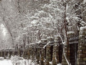 喜雪油烟机拆卸清洗指南（一步步教你如何正确拆卸和清洗喜雪油烟机）