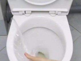 马桶堵塞的解决方法与预防措施（解决马桶堵塞问题的有效措施及预防措施）