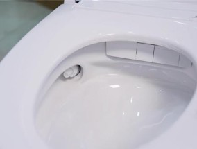 马桶水箱一直流水的修理办法（解决马桶水箱持续流水问题的实用技巧）
