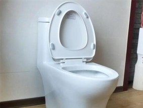如何安装抽水马桶（简单步骤让你轻松安装新的马桶）