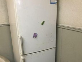 西门子冰箱老结冰的原因及解决方法（探寻西门子冰箱老结冰背后的原因）