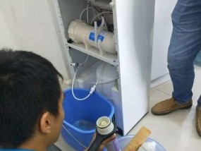 解决以惠而浦净水器故障的技巧（以惠而浦净水器修理指南）