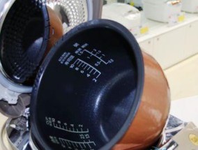 解决新电饭煲蒸不熟的问题（探索蒸不熟的原因和解决办法）
