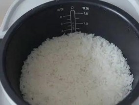 电饭煲煮饭为何会糊（探究电饭煲煮饭糊的原因及解决方法）