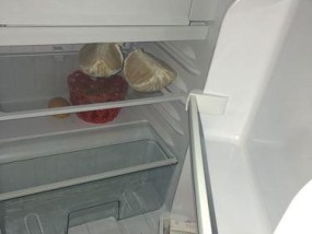 解决冰箱不冷冻的问题（怎样确保冰箱正常运行）