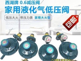 液化气热水器阀门调节方法（详解液化气热水器阀门调节步骤及技巧）