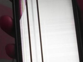 显示器一条竖线的修理方法（解决显示器竖线问题的有效方案）