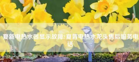 电热水器漏电常见原因解析（揭秘电热水器漏电的真相）  第2张