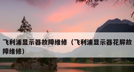 如何修复显示器花屏问题（掌握关键技巧）  第3张