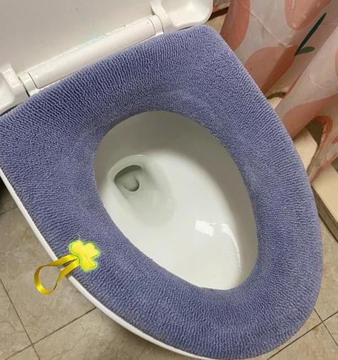 抽水马桶堵的原因及解决方法（解决抽水马桶堵塞问题的关键技巧）  第3张