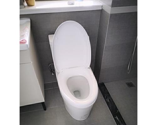 法恩莎马桶按钮故障维修指南（如何解决法恩莎马桶按钮故障及常见维修方法）  第1张