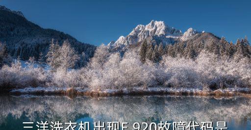 三洋洗衣机故障代码无法甩干的维修方法（解决三洋洗衣机故障代码无法甩干的常见问题）  第2张