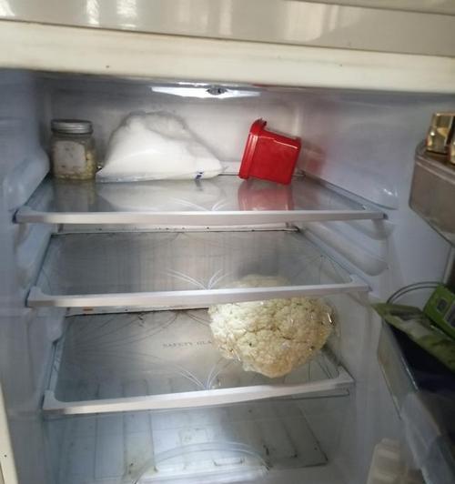 冰箱霉味的处理方法（去除冰箱上的霉味）  第2张