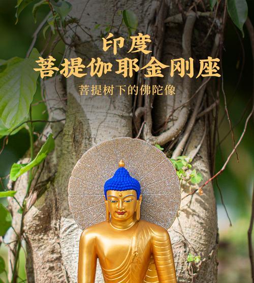 释迦放冰箱的正确方法及注意事项（保鲜效果更好）  第1张