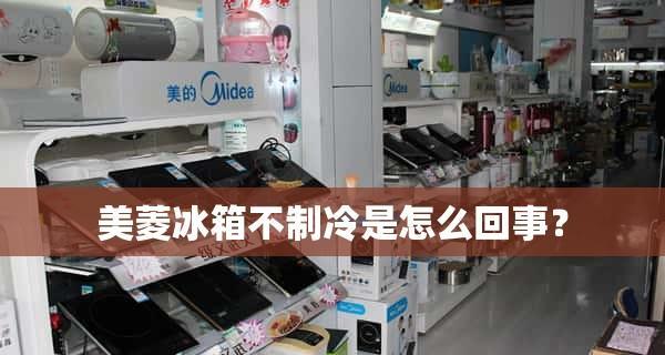 解决威力冰箱不制冷的方法（如何修复威力冰箱的制冷问题）  第3张