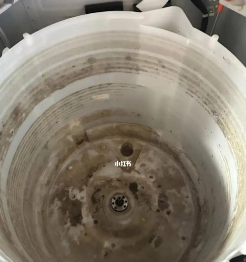 如何正确清洗洗衣机外壁（教你轻松保持洗衣机外壁清洁亮丽）  第1张