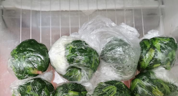 油菜的冷藏保存方法（保鲜技巧让油菜更加新鲜可口）  第2张