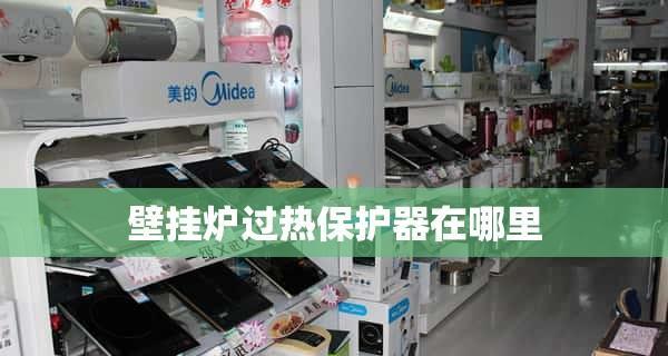 长虹壁挂炉E9故障解决方法（长虹壁挂炉显示E9故障的原因及解决办法）  第2张
