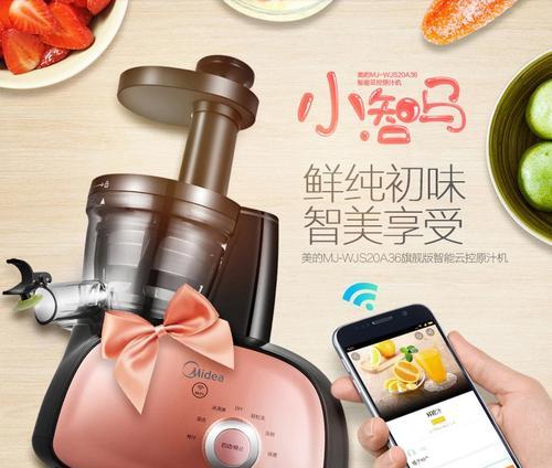 榨汁机漏水的原因及解决方法（如何有效应对榨汁机漏水问题）  第3张