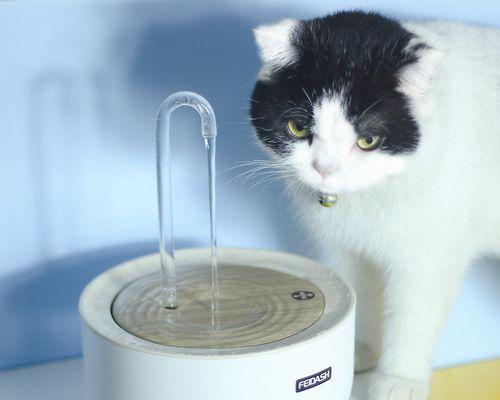 猫饮水机发霉的原因及防治方法（从源头控制）  第1张
