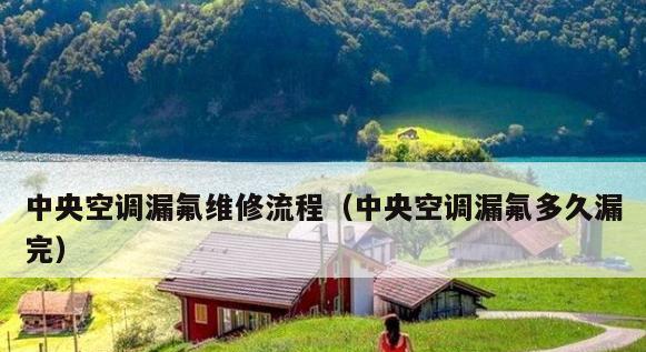 应对中央空调漏氟问题的处理方法（科学）  第2张