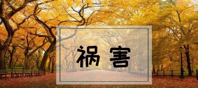 复印机小人故障怎么办？如何快速解决？  第2张