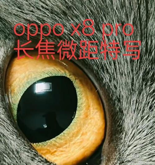 长焦微距相机如何与手机配合使用？拍照技巧有哪些？  第3张