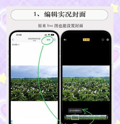 苹果旧手机如何开启拍照实况？  第2张