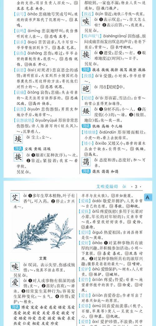 如何制作一本词典小书作为笔记本电脑？  第1张