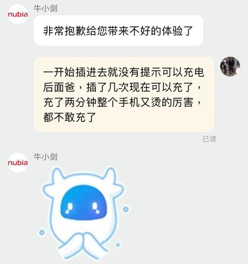 努比亚充电器怎么使用视频？充电器使用不当会有什么后果？  第3张