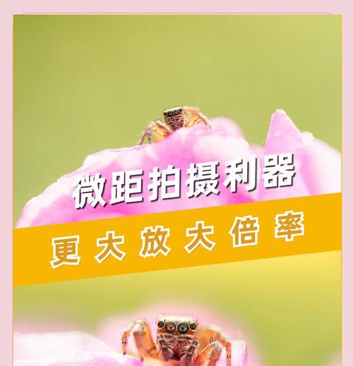 长焦镜头如何使用？拍摄效果如何优化？  第2张