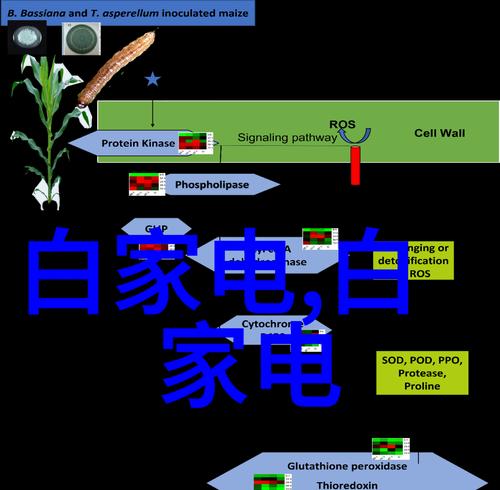 上下卧室电视机选购指南是什么？  第3张