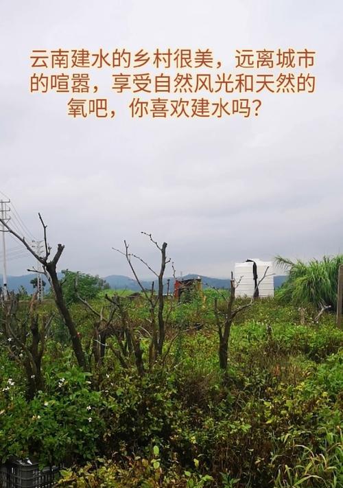 建水哪里可以修理手机电池？  第1张