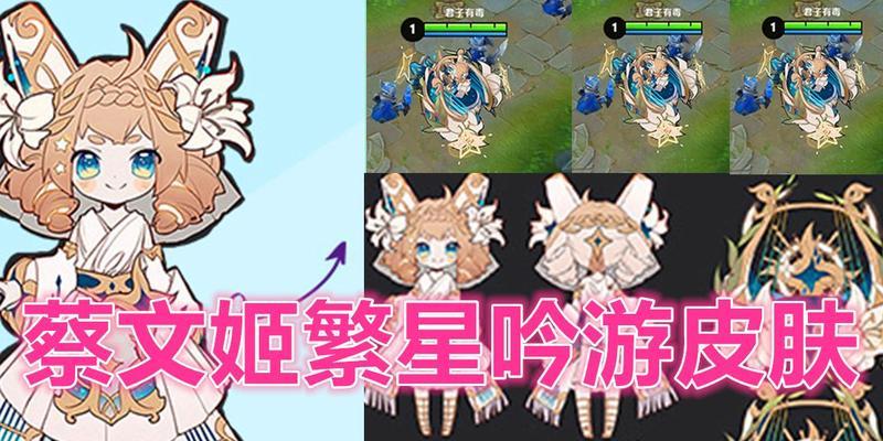 王者荣耀冠军手机壳的获取途径有哪些？  第3张